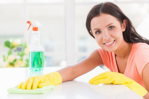 Carpet cleaners working sustainably with recycled materials in SW18