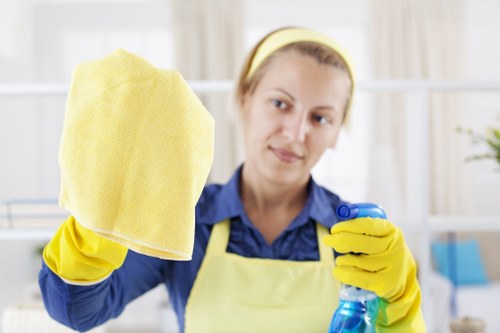 Fabric sofa stain treatment and deep cleaning service in SW18