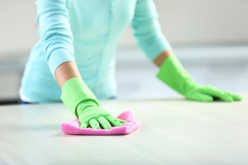 Waste sorting and recycling activity for a local carpet cleaning service