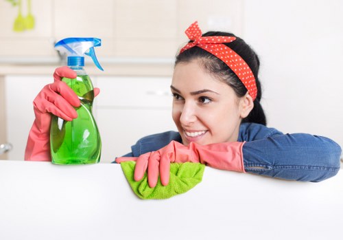 Cleaning equipment used for pet stain and odour removal in SW18 homes
